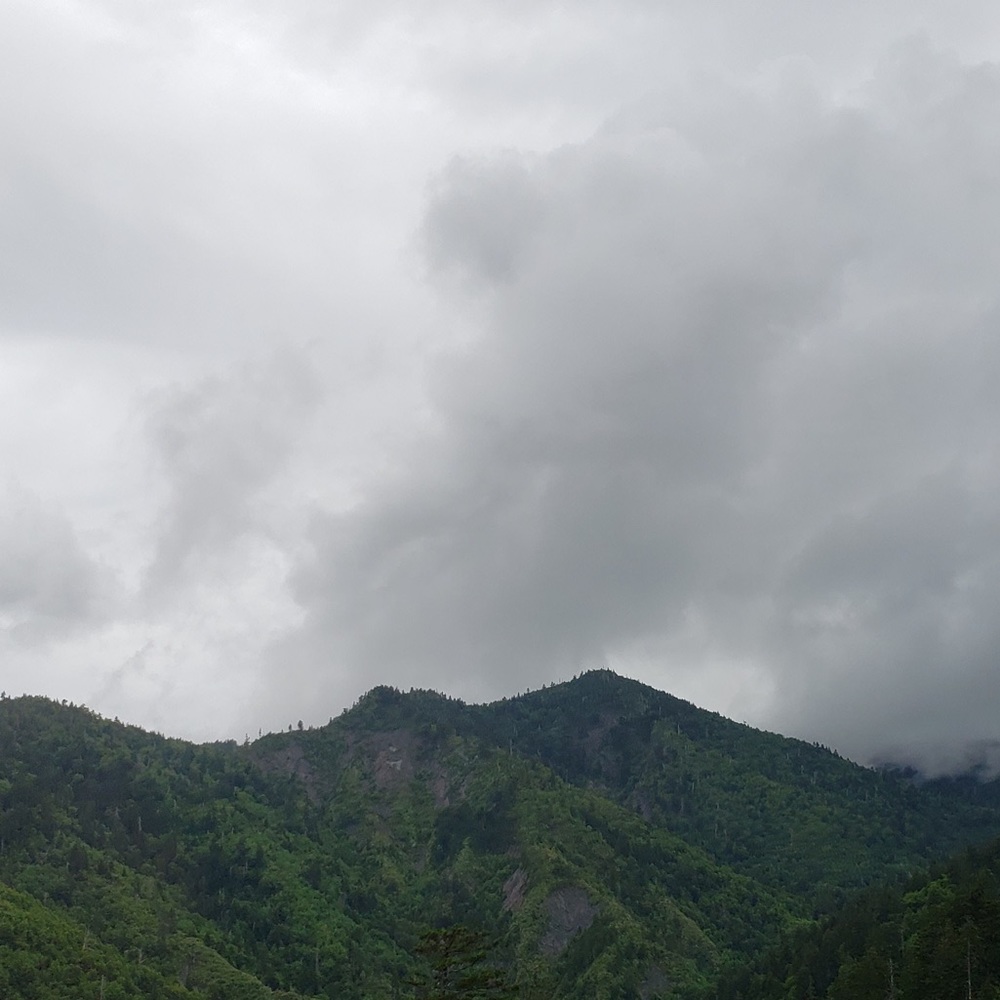 Meet your Posher, Paola